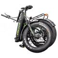 Электрофэтбайк Cruzer E-bike 20