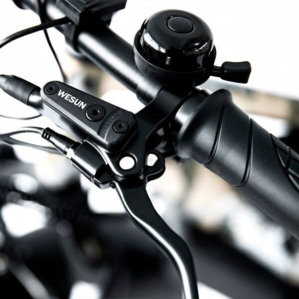 Elbike-Phantom-Twix-Cam-звонок