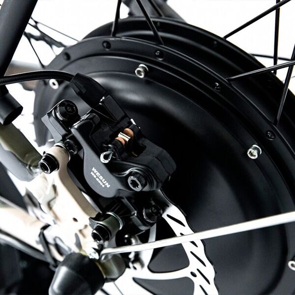 Elbike-Phantom-Twix-Cam-тормозной-диск