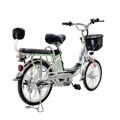 Электровелосипед GreenCamel Транк-20 V2 (R20 250W10Ah)