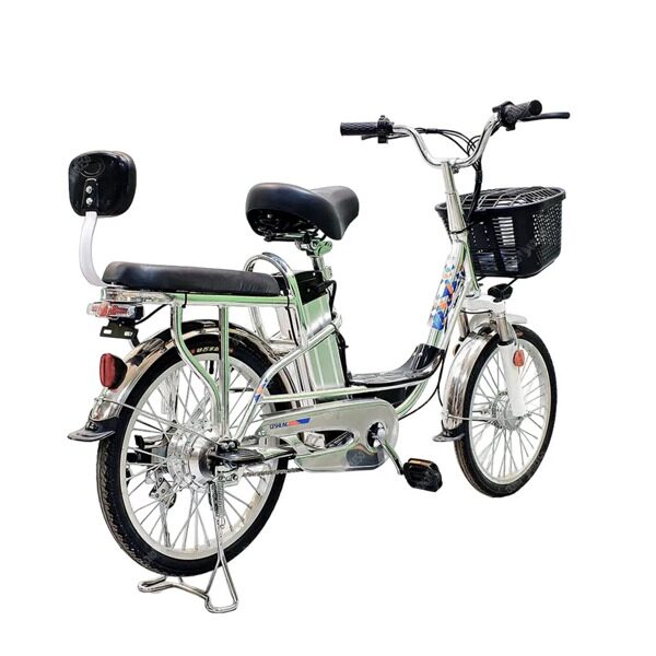 elektricheskij-velosiped-greencamel-trank-20-v2-szadi